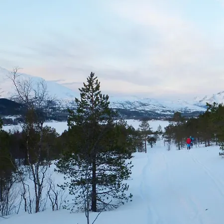 Calm Surroundings With Hiking Trails Near And Saltstraumen *